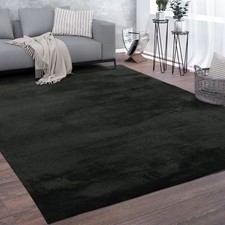 Tapis De Salon Poils Ras