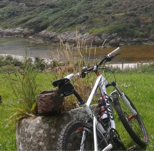 Vtt tout suspendu giant - vtt,