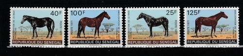 Sénégal amélioration la - amélioration,