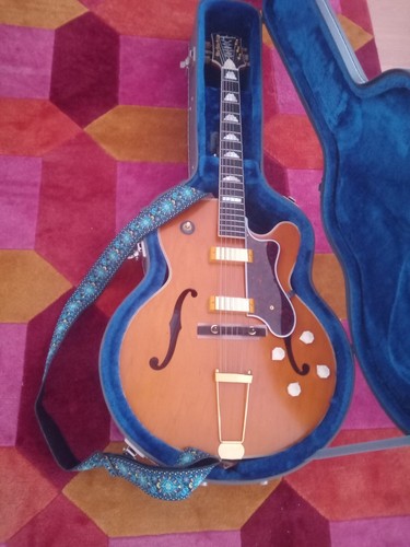 Guitare électrique vintage - électrique,