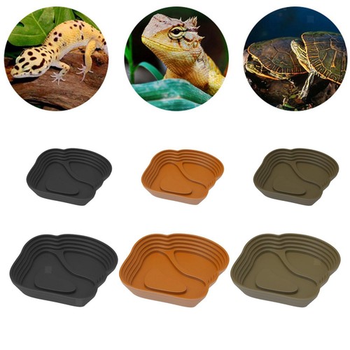 Plat eau tortue avec - de,