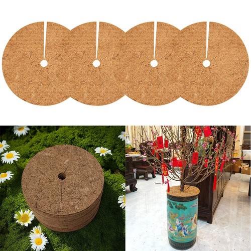 Pour jardin plantes tapis - pour,