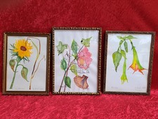 3 Beaux Vieux Cadres, Cadres