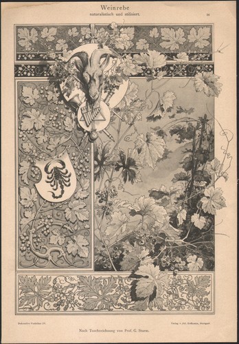 1910 lithographie vigne vierge - 1910,