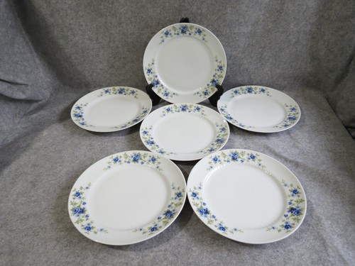 Assiettes plates en - 6,