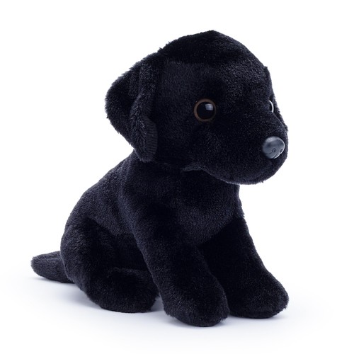 Palm pups labrador - pups,