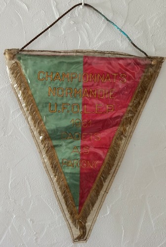 Table tennis pennant