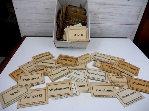 Lot ancienne etiquette avicole - ancienne,