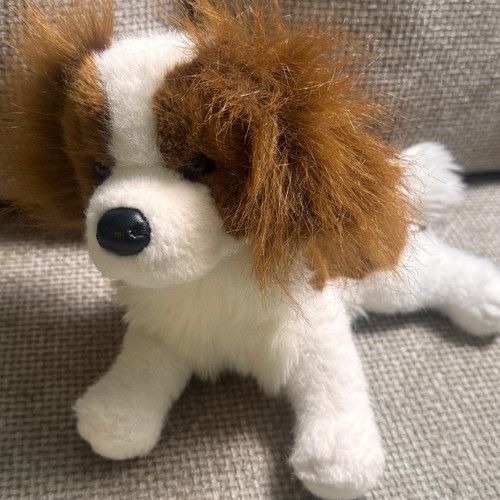 Kingsley king charles - kingsley,