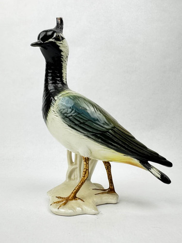 Vanneau huppé porcelaine - huppé,