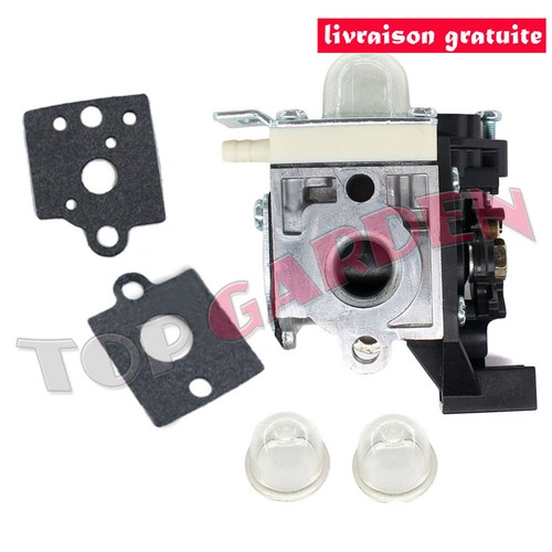 Carburateur pour zama - pour,