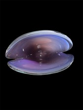 Murano Glass 1970 Archimede Seguso Opalescent Clamshell Blue Purple Gorgeous EUC