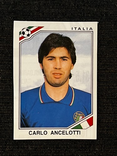 Sticker panini world cup - world,