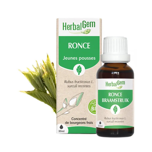 Bourgeon ronce bio - bourgeon,