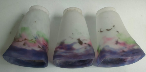 Lot tulipes muller freres - muller,