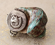 Coquillage Boite Pilulier