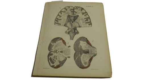 1850 lithographie couleur - 1850.lithographie,