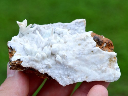 Aragonite flos ferri 81 - ferri",