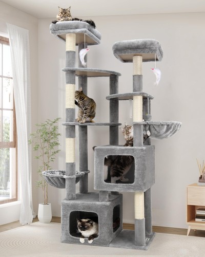 Arbre chat pour - arbre, chats