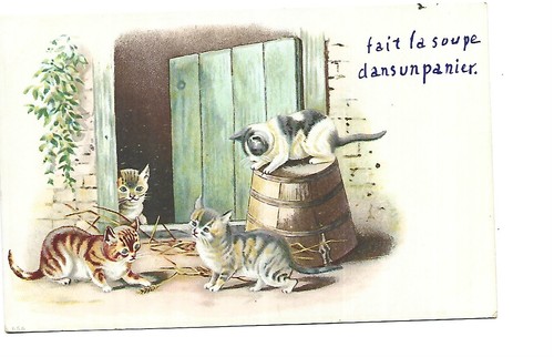 Illustration 1900 chats - illustration,