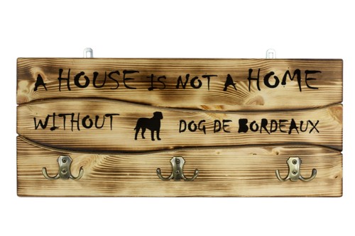 Dogue bordeaux de - bordeaux,,
