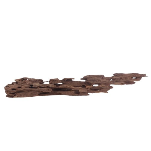 Honey peigne racine - xl,