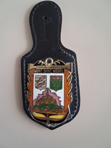 Insigne sapeurs pompiers - sapeurs,