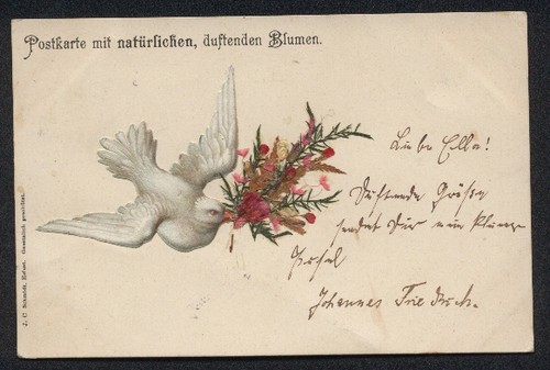 Carte postale fleurs - postale,