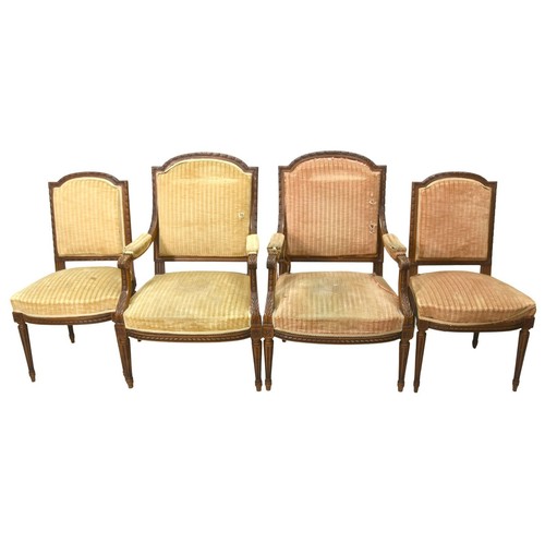 Salon chaises fauteuils - salon,