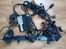 Faisceau électrique Triumph