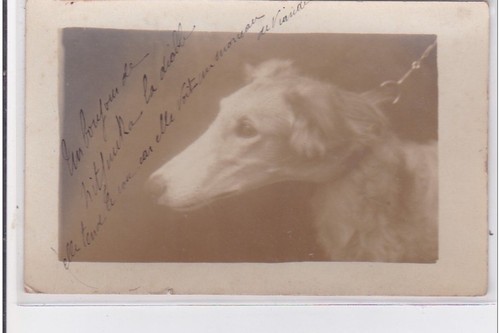 Cyprien carte photo - st-cyprien, :