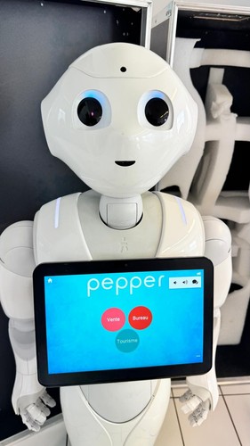 Robot pepper softbank - pepper,