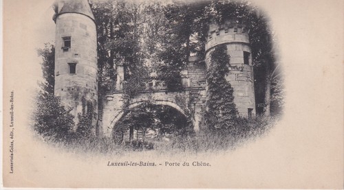 Carte postale postcard - 🦬carte,