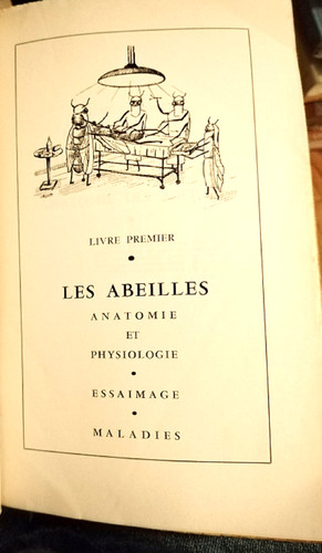 1969 rucher de rapport - 1969, le