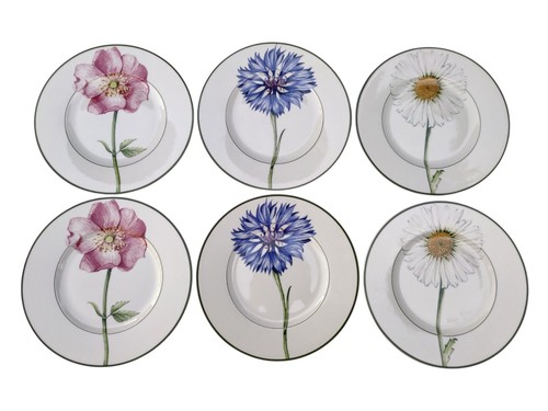 Assiettes villeroy boch - villeroy,