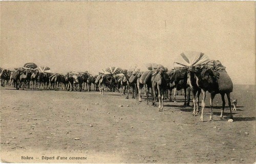 Cpa algeria biskra départ - algeria,