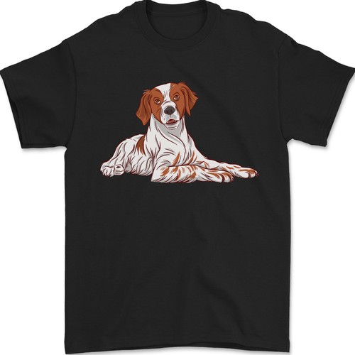 Epagneul breton chien - a,