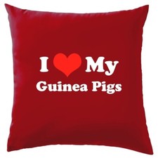 I Love My Cochons D'Inde -