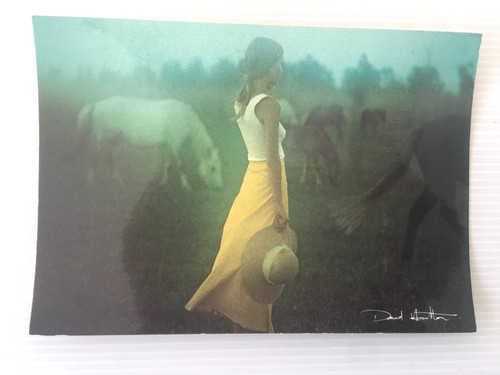 Carte postale david hamilton - david,