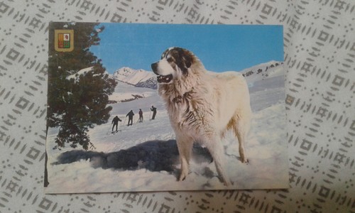 Postcard pyrenees mountain ski - pyrenees,