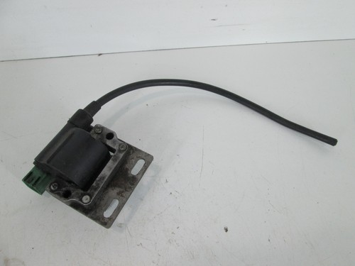 Rotax fr125 max early - early, ignition