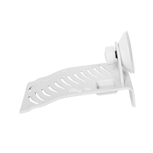 Tortue basking rampe - tortue,