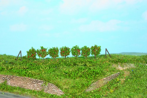 Heki 19135 espalier fruitier - heki,