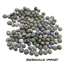 145 Graines Alé Awalé Jeu