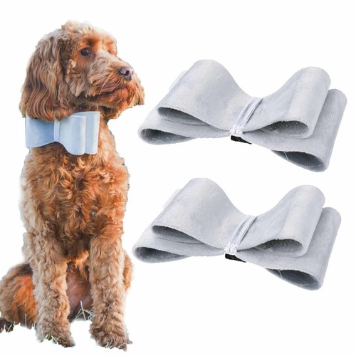 Noeud papillon argent - papillon, en