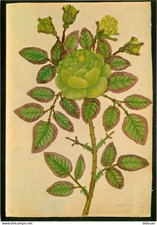 38 - Grenoble - Musée