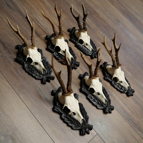 Paire bois cerf - bois,