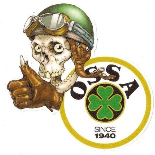 Ossa left skull - left,