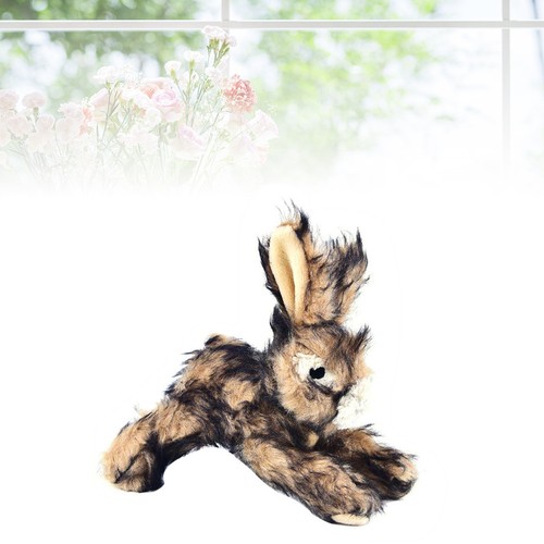 Durable pet squeaky toy - pet,