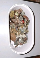 lot pièces de monnaies